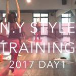 nystyle_training_day1