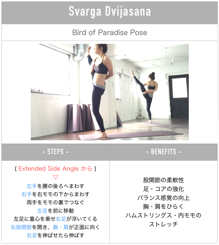 Steps to paradisebird