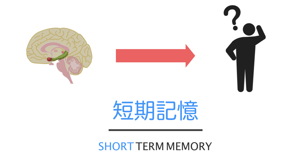 Short term memory