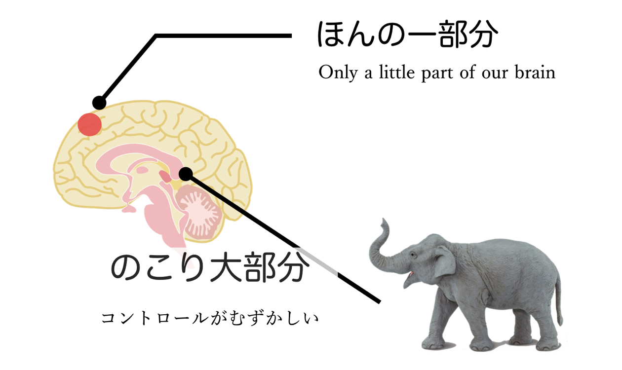 Subconscious mind elephant