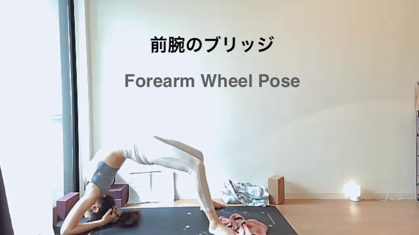 Wheel forearm